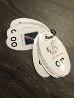 Little Wandle Phonics Fan