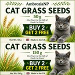 cat grass seeds