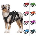 rabbitgoo Escape Proof Dog Harness Full Body Reflective Adjustable No Pull Vest