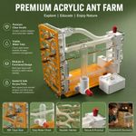 Acrylic Ant House Ant Farm With Feeding Area Insect Villa DIY Clear Ant Nest New