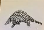 Ink Drawing Of A Pangolin 