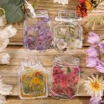 40Pcs Transparent Dried Flower Bookmarks Set, DIY Handmade Dried Flower Bookmar