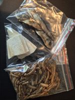 Protein & Calcium Bundle | Isopods, Inverts, Millepedes & Snails