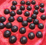 Sorbothane 30mm. (1.2") Diameter x 15mm. High Isolation Feet / Hemispheres UK