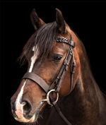 LEATHER PLAITED HUNTER BRIDLE WIDE NOSEBAND PLAITED REINS INCLUDED HAVANA