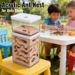 LEVEL Ant Insect Nest Breeding Feeding Acrylic House Ant Farms Formicarium