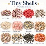 Tiny Craft Shells 25g Bag Natural Mini Seashells Coastal Decor Art Wedding Craft