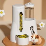 Automatic Hamster Feeder with Water Bottle Transparent Anti Slip Food Dispenser