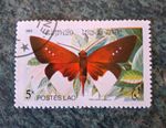 Laos 1982 5k Butterfly Postage Stamp Used Multi-Coloured Decimal