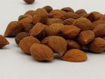 HERBASENSE GENUINE HIMALAYAN BITTER APRICOT KERNELS UN BROKEN -PREMIUM GRADE