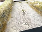 DIORAMA BASE -  SUIT ANY SCALE - DIRT ROAD WITH ROCKS AND TREES