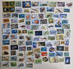 Fish & Sea Life Stamps Collection - 100 to 1000 Different Stamps 