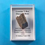 Fossil Trex Bone Fragment USA Montana 70 Million Years Old