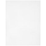 Cousin 10 Count Plastic Canvas 10.5" x 13.5" - Clear