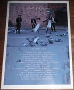 Wolf Alice - live band music show TOUR promotional tour concert gig poster