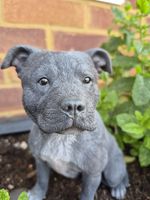 Staffordshire Terrier Figure Blue Staffie Dog Lover Gifts Collectable Memorial 