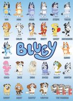 Bluey Kids Characters Poster 260gsm various sizes