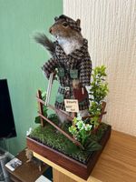 Taxidermy Gamekeeper Grey Squirrel (￼ Sciurus Carolinensis )