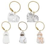 Cat hair storage box pendant, cat hair storage capsule keychain commemorative