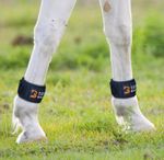 Magnetic Horse Leg Bands - Equine Balance Magnetic Bands EQU Bands