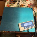 Brecknell WS60 60kg Dual Range Portable Stainless Steel Platform Scale 380x300mm