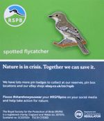 RSPB Pin Badge NIIC Spotted Flycatcher P03231