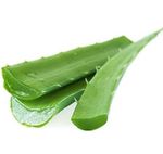 Fresh Aloe Vera Leaf Stems - Approx 300g - 30cm Size 