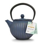 Blue & Gold Tetsubin Style Cast Iron Teapot Teakettle 500ml by Charbrew