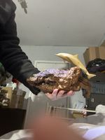 John Perry Sculpture - Dolphins