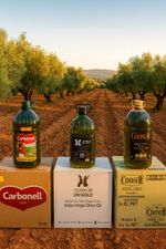 Top Quality Extra Virgin Olive Oil 5 Litre Bottle or Box Of 3