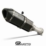 Exhaust for BMW R1250 RS 2019-2025 GRmoto Carbon
