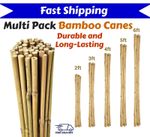 Multi PK Heavy-Duty Plant Support Bamboo Garden Canes | Plant Supports & Stakes