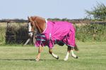 Lightweight Horse Turnout Rug No Fill Standard Neck Waterproof CLEARANCE