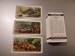 Dinosaurs. Brooke Bond Canada 1963. Complete set of 48 cards