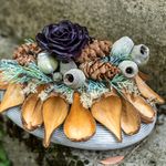 Natural seed pods decorative pods brown 50 pcs 9-12 cm, 50 pieces