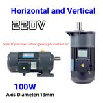 18MM 100W High-Quality Electric Gear Motor Three-phase Speed Reduction Variable