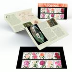 Roses Stamps Presentation Pack from Royal Mail