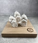 Paw Casting Kit - The Perfect Gift for Dog Lovers