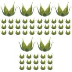 Reusable Green Plastic Rose Calyxes for DIY Flower Arrangements 150Pcs