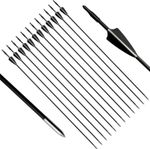 30 inch Fibreglass Archery Arrows Field Hunting & Target Broadhead Tool 12/24X