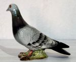 Beswick Racing Pigeon Rare Beautifully Coloured Grey Gloss Model No. 1383 Vgc