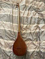 Persian Setar with case, one string needs replacing
