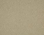 £4 PER M2 CORMAR Home Counties 50oz Fossil 4m x 2.2m S.S CARPET CHEAP
