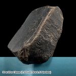 Whitby jet fossil tree resin jurassic, authentic, uk seller