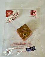 'Sample Kobo' Fake Japanese Food - Steak Magnet - Ultra Realistic