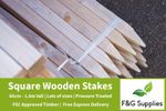 Square Tree Stakes and Posts - choose the height and number -  Pressure Treated