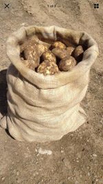8 x Large Hessian 50cm x 80cm Jute Potato Veg Storage Sacks Bags Misprints 25kg