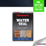 Thompson's Water Seal Weather Damage Protection For Bricks, Mortar & Concrete