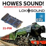 ESU 58419 V5 Sound Decoder W/Speaker 21 Pin HOWES SOUND PRE LOADED DCC RAILWAY