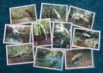 KLEINWELKA Saurierpark - Lot 10x POSTCARD Unused MINT 1980s Model Dinosaur